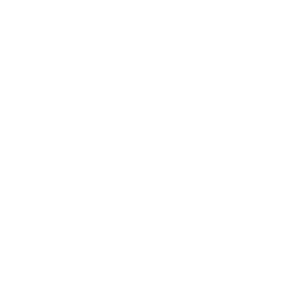 Vargas Team 247